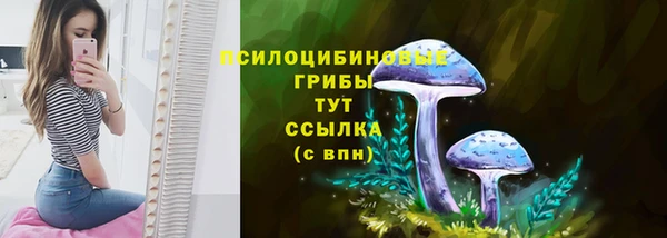 прущая мука Няндома