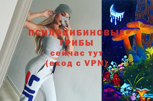 таблы Новозыбков