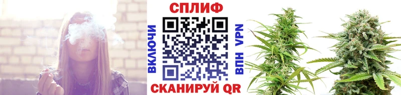 Купить  Елец  Канабис тримм 